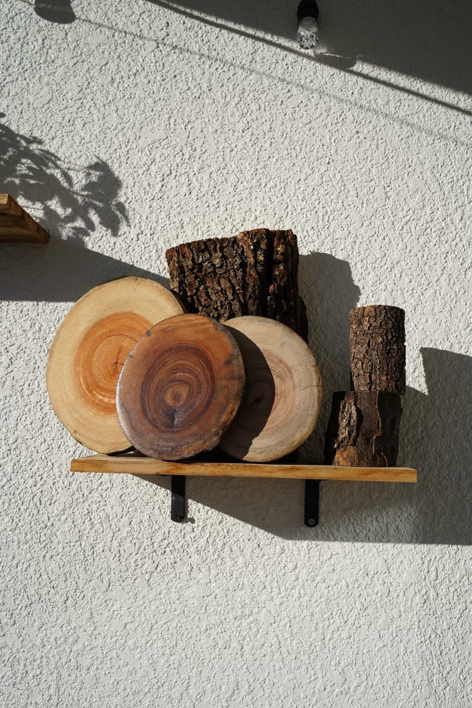Staghorn fern and wood rounds on a bracket shelf