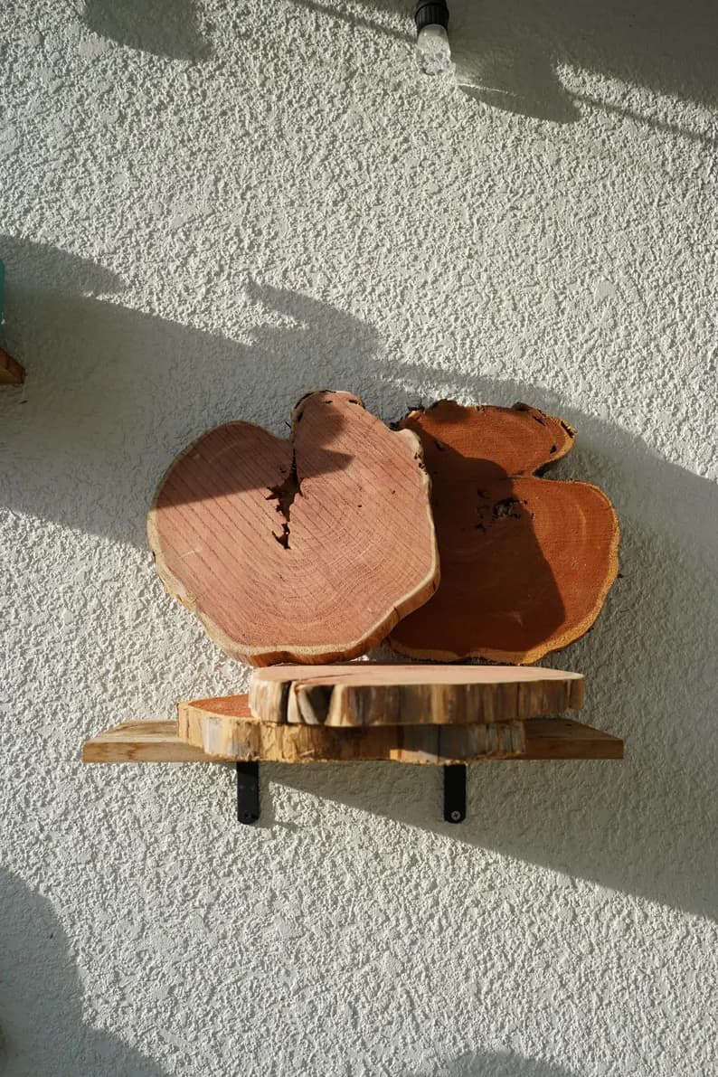 Natural Red Cedar Staghorn Fern Mount