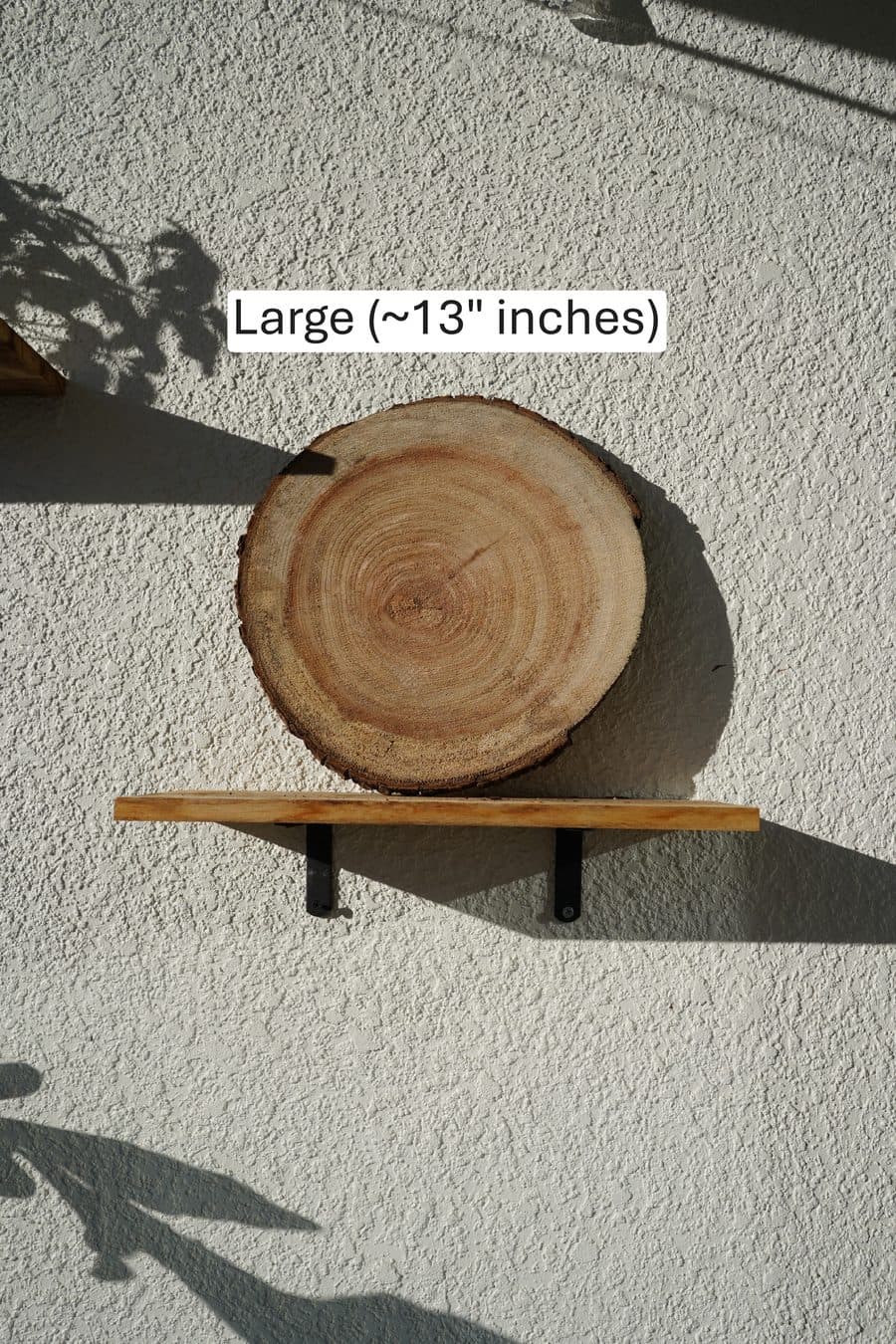 Large natural wood plant mount, ~13"