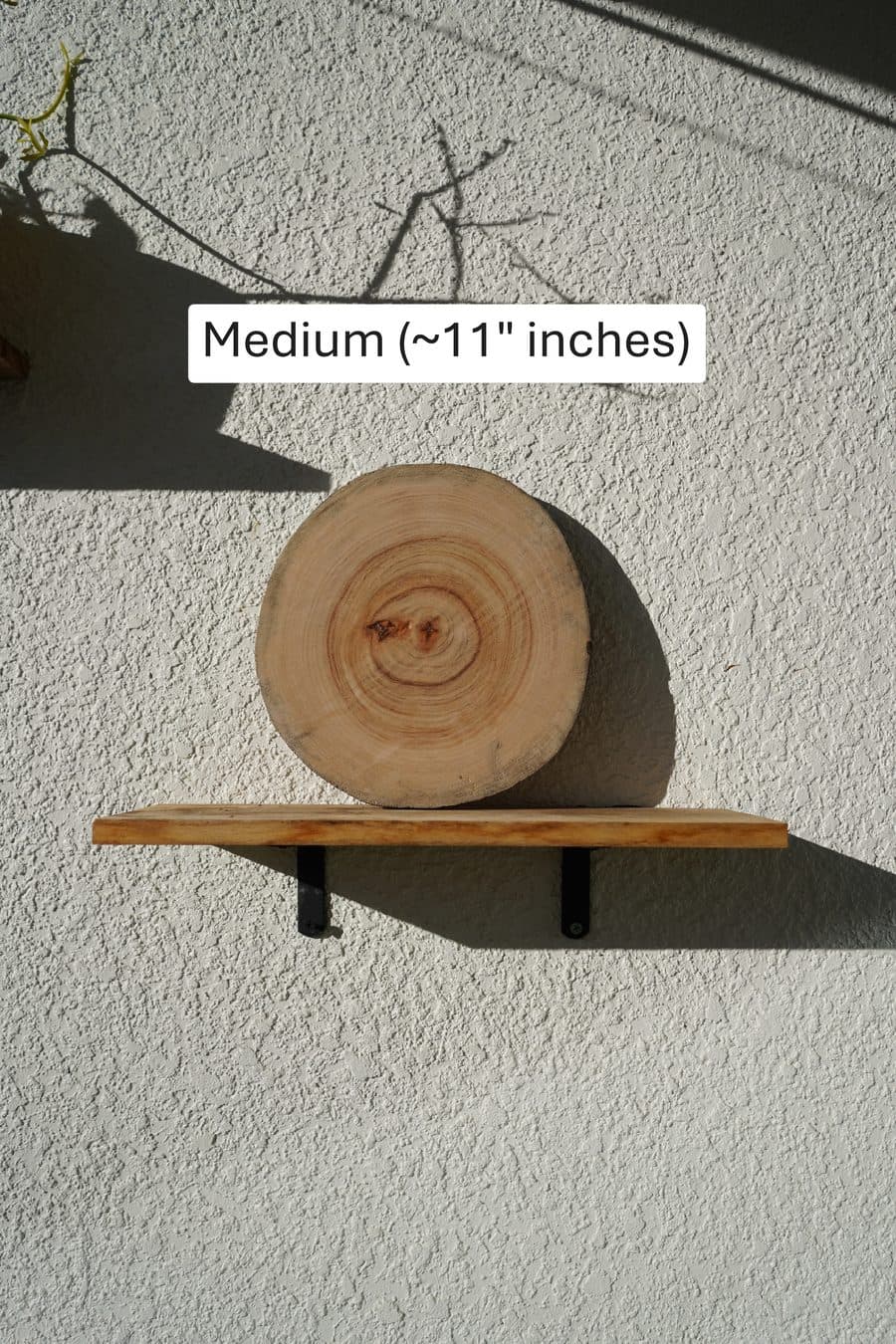 Medium natural wood plant mount, ~11"