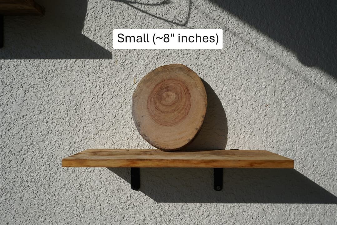 Small natural wood plant mount, ~8"